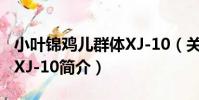 小葉錦雞兒群體XJ-10(關于小葉錦雞兒群體XJ-10簡介)