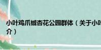 小葉雞爪槭杏花公園群體(關于小葉雞爪槭杏花公園群體簡介)