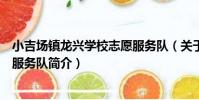 小吉場鎮龍興學校志愿服務隊(關于小吉場鎮龍興學校志愿服務隊簡介)