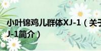 小葉錦雞兒群體XJ-1(關于小葉錦雞兒群體XJ-1簡介)