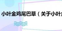小葉金雞尾巴草(關于小葉金雞尾巴草簡介)