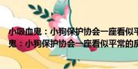 小吸血鬼:小狗保護協會一座看似平常的房子(關于小吸血鬼:小狗保護協會一座看似平常的房子簡介)