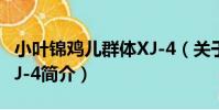 小葉錦雞兒群體XJ-4(關于小葉錦雞兒群體XJ-4簡介)