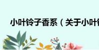 小葉鈴子香系(關于小葉鈴子香系簡介)