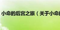 小命的后宮之旅(關于小命的后宮之旅簡介)