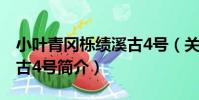 小葉青岡櫟績溪古4號(關于小葉青岡櫟績溪古4號簡介)