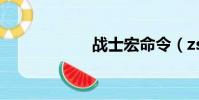 戰士宏命令(zs宏)