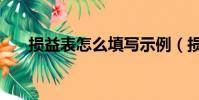 損益表怎么填寫示例(損益表怎么填)