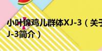 小葉錦雞兒群體XJ-3(關于小葉錦雞兒群體XJ-3簡介)