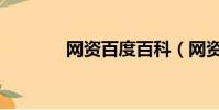 網資百度百科(網資怎么做)