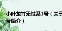 小葉龍竹無性系1號(關于小葉龍竹無性系1號簡介)