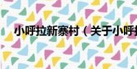 小呼拉新寨村(關于小呼拉新寨村簡介)