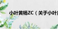 小葉黃楊ZC(關于小葉黃楊ZC簡介)