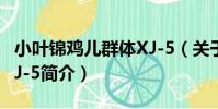小葉錦雞兒群體XJ-5(關于小葉錦雞兒群體XJ-5簡介)