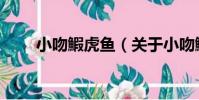 小吻鰕虎魚(關于小吻鰕虎魚簡介)