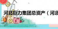 河北巨力集團總資產(河北巨力集團有多少億)