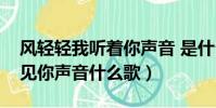 風輕輕我聽著你聲音 是什么歌(風輕輕我聽見你聲音什么歌)