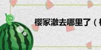 櫻冢澈去哪里了(櫻冢澈)