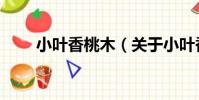 小葉香桃木(關于小葉香桃木簡介)