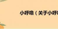 小呼嚕(關于小呼嚕簡介)