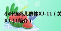 小葉錦雞兒群體XJ-11(關于小葉錦雞兒群體XJ-11簡介)