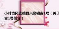 小葉青岡旌德縣興隆鎮古1號(關于小葉青岡旌德縣興隆鎮古1號簡介)
