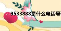 9533888是什么電話號碼(95338)