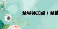 圣導師加點(圣徒加點)