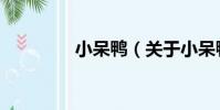 小呆鴨(關于小呆鴨簡介)