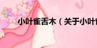 小葉雀舌木(關于小葉雀舌木簡介)