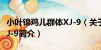 小葉錦雞兒群體XJ-9(關于小葉錦雞兒群體XJ-9簡介)