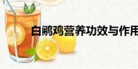 白鷴雞營養功效與作用(白鷴雞)