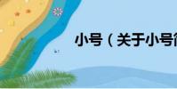 小號(關于小號簡介)