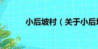 小后坡村(關于小后坡村簡介)