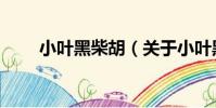 小葉黑柴胡(關于小葉黑柴胡簡介)
