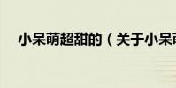 小呆萌超甜的(關于小呆萌超甜的簡介)