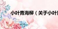 小葉青海柳(關于小葉青海柳簡介)