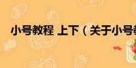 小號教程 上下(關于小號教程 上下簡介)