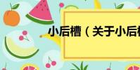 小后槽(關于小后槽簡介)
