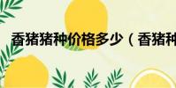 香豬豬種價格多少(香豬種豬多少錢一只)