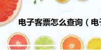 電子客票怎么查詢(電子客票查詢)