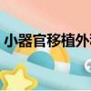 小器官移植外科（關于小器官移植外科簡介）