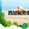 西加偏旁組詞一年級（西加偏旁組詞）