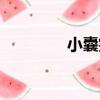 小囊突（關于小囊突簡介）