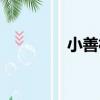 小善村（關于小善村簡介）