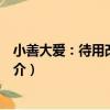 小善大愛：待用改變中國（關于小善大愛：待用改變中國簡介）