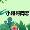 小哥哥網戀嘛（關于小哥哥網戀嘛簡介）