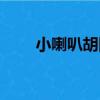 小喇叭胡同（關于小喇叭胡同簡介）