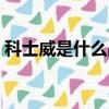 科士威是什么品牌什么檔次（科士威是什么）
