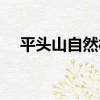 平頭山自然村（關于平頭山自然村介紹）